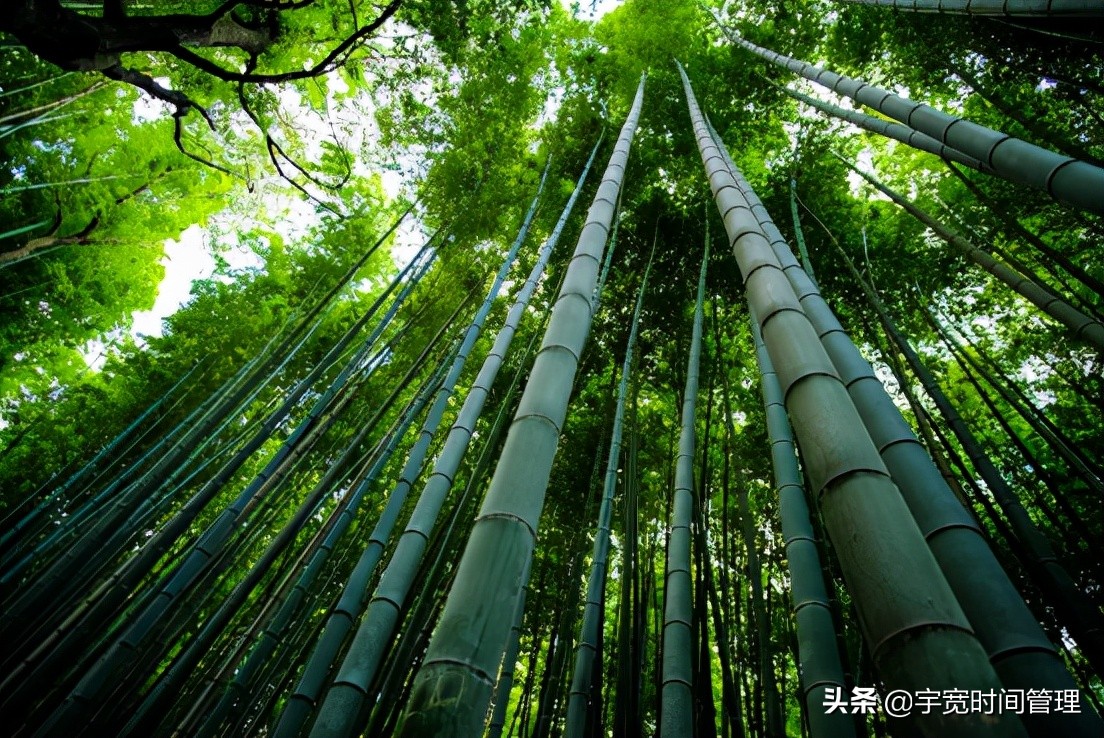 复利思维正确吗,复利思维经营人生