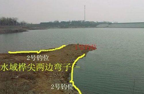 新手钓鱼防偷钓神器,野钓实用的控鱼器