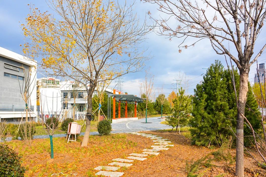 春意盎然北京五大公园,北京区级综合性公园