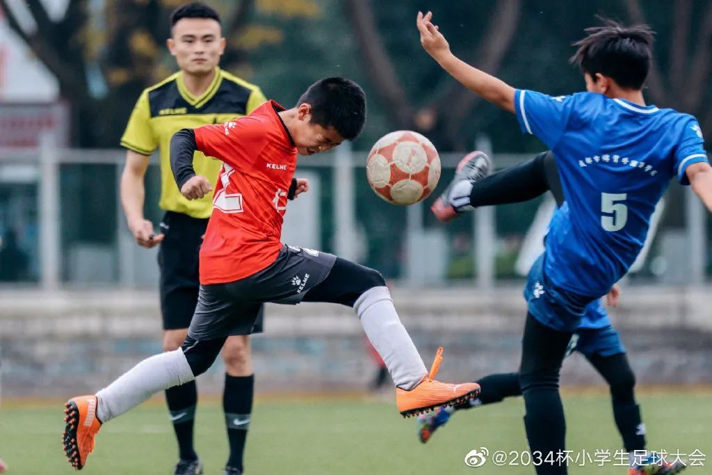 第一届2034杯小学生足球大会赛程,2034杯小学生足球大会集锦