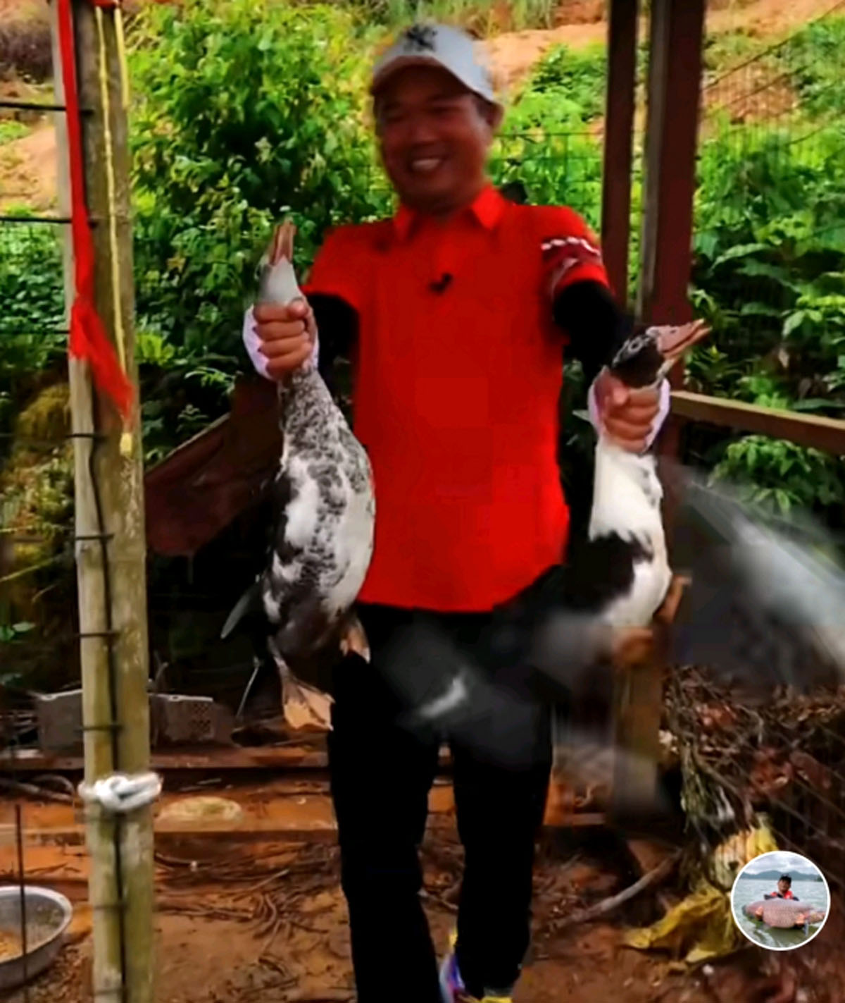 人怕出名鱼怕邓刚，因为“水库盘鱼塘老板”的视频走红