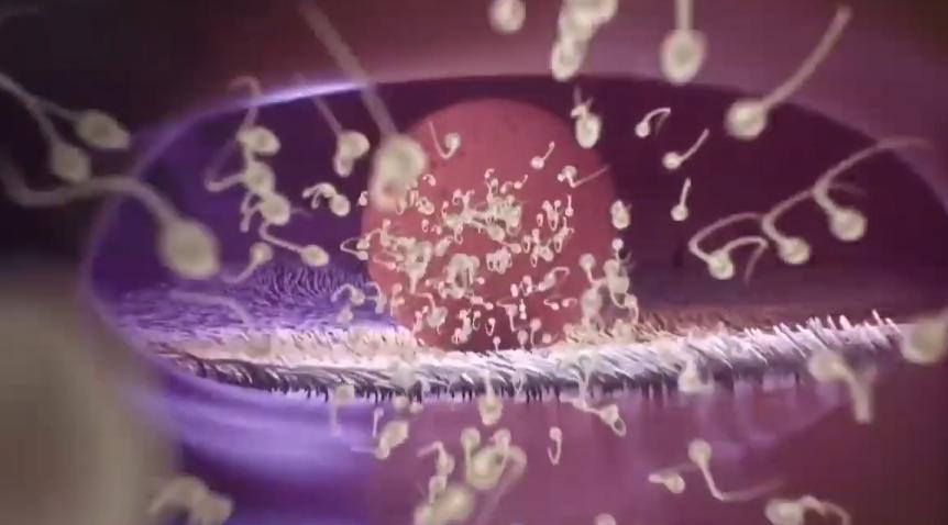 人造子宫实现让人类复活,人类能接受人造子宫吗