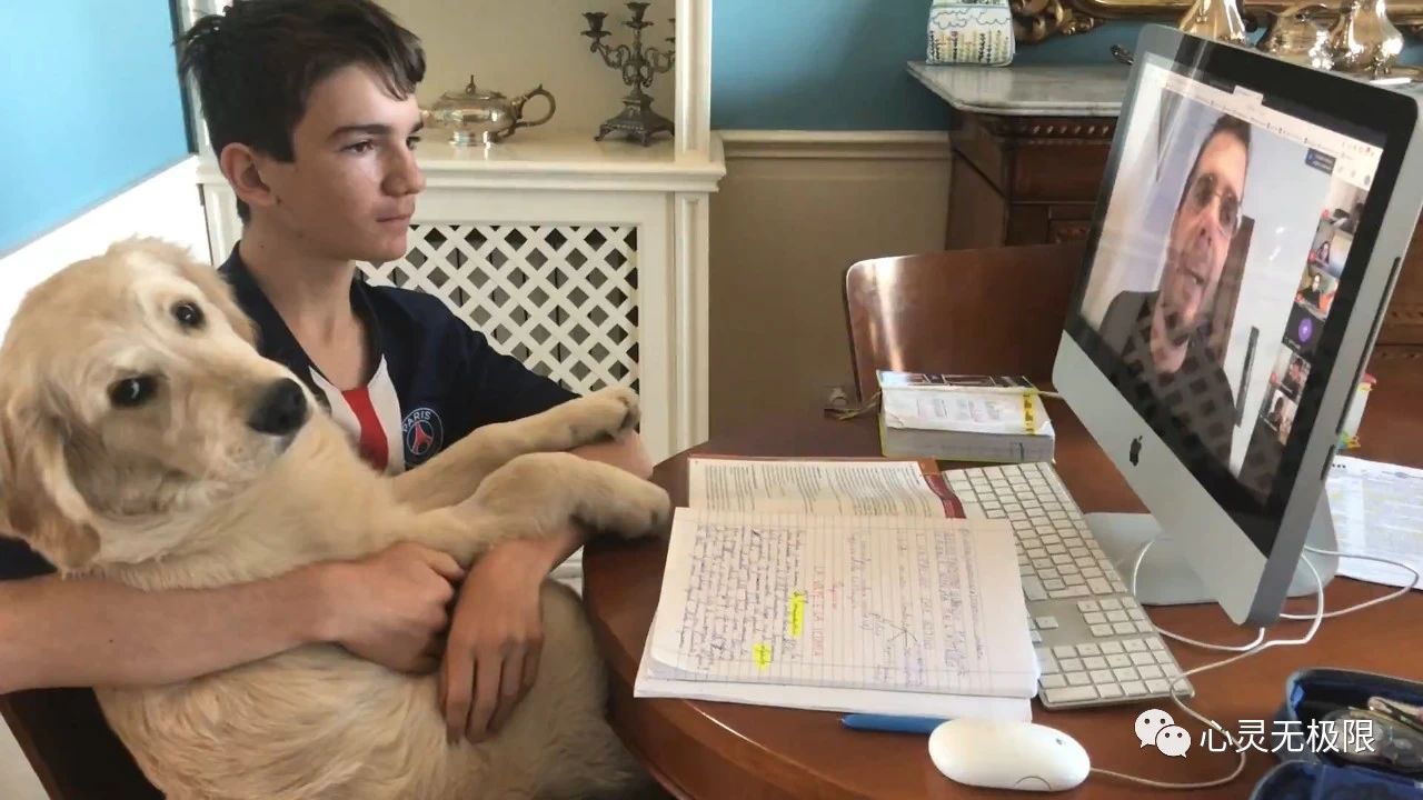 意大利五千名兽医抗疫,意大利疫情医护感染人数