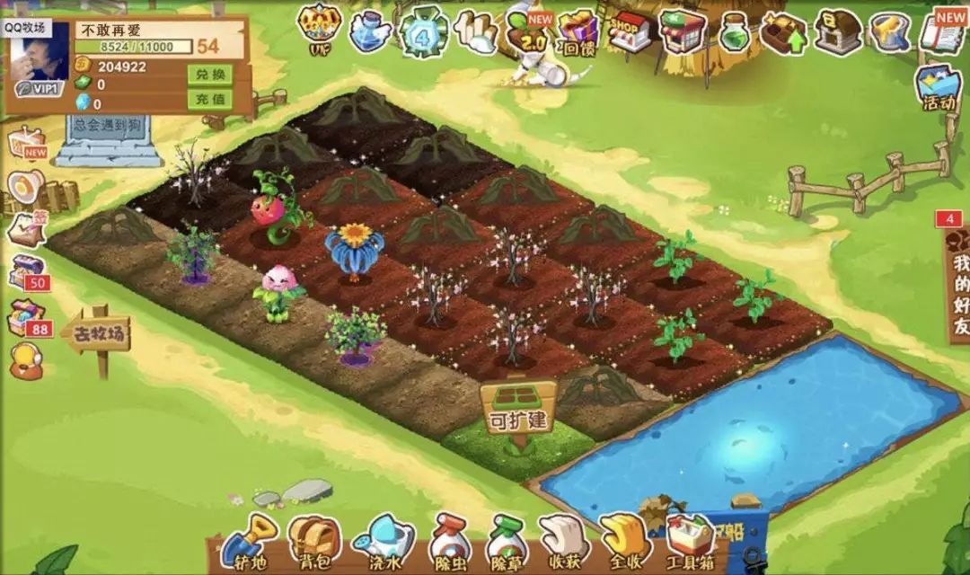 申请的qq靓号怎么注销,qq靓号能注销吗