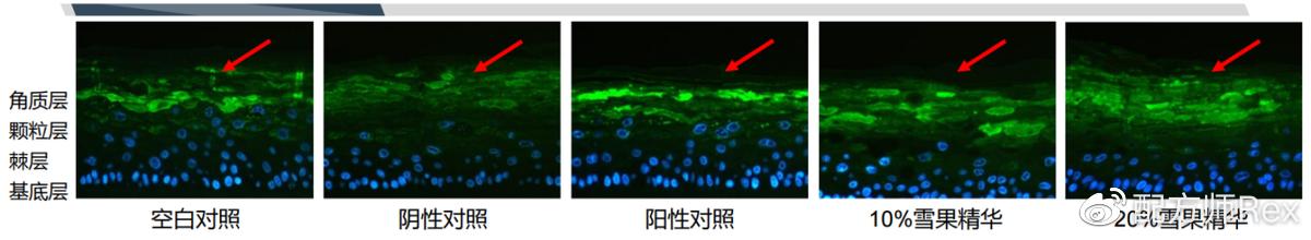 来自新西兰的抗老秘方,好使吗?