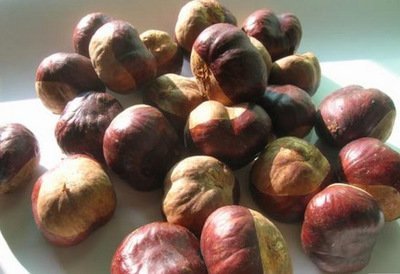 罗汉果提取物有什么用,娑罗子提取物药理作用