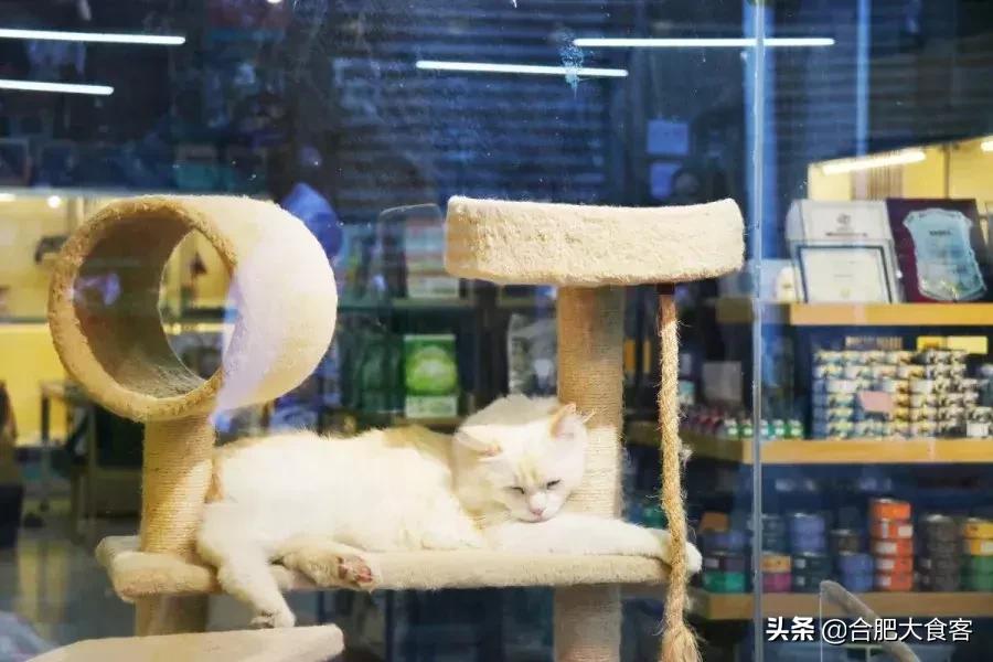 <html>
<head><title>502BadGateway</title></head>
<body>
<center><h1>502BadGateway</h1></center>
<hr><center>nginx</center>
</body>
</html>
<!--apaddingtodisableMSIEandChromefriendlyerrorpage-->
<!--apaddingtodisableMSIEandChromefriendlyerrorpage-->
<!--apaddingtodisableMSIEandChromefriendlyerrorpage-->
<!--apaddingtodisableMSIEandChromefriendlyerrorpage-->
<!--apaddingtodisableMSIEandChromefriendlyerrorpage-->
<!--apaddingtodisableMSIEandChromefriendlyerrorpage-->
