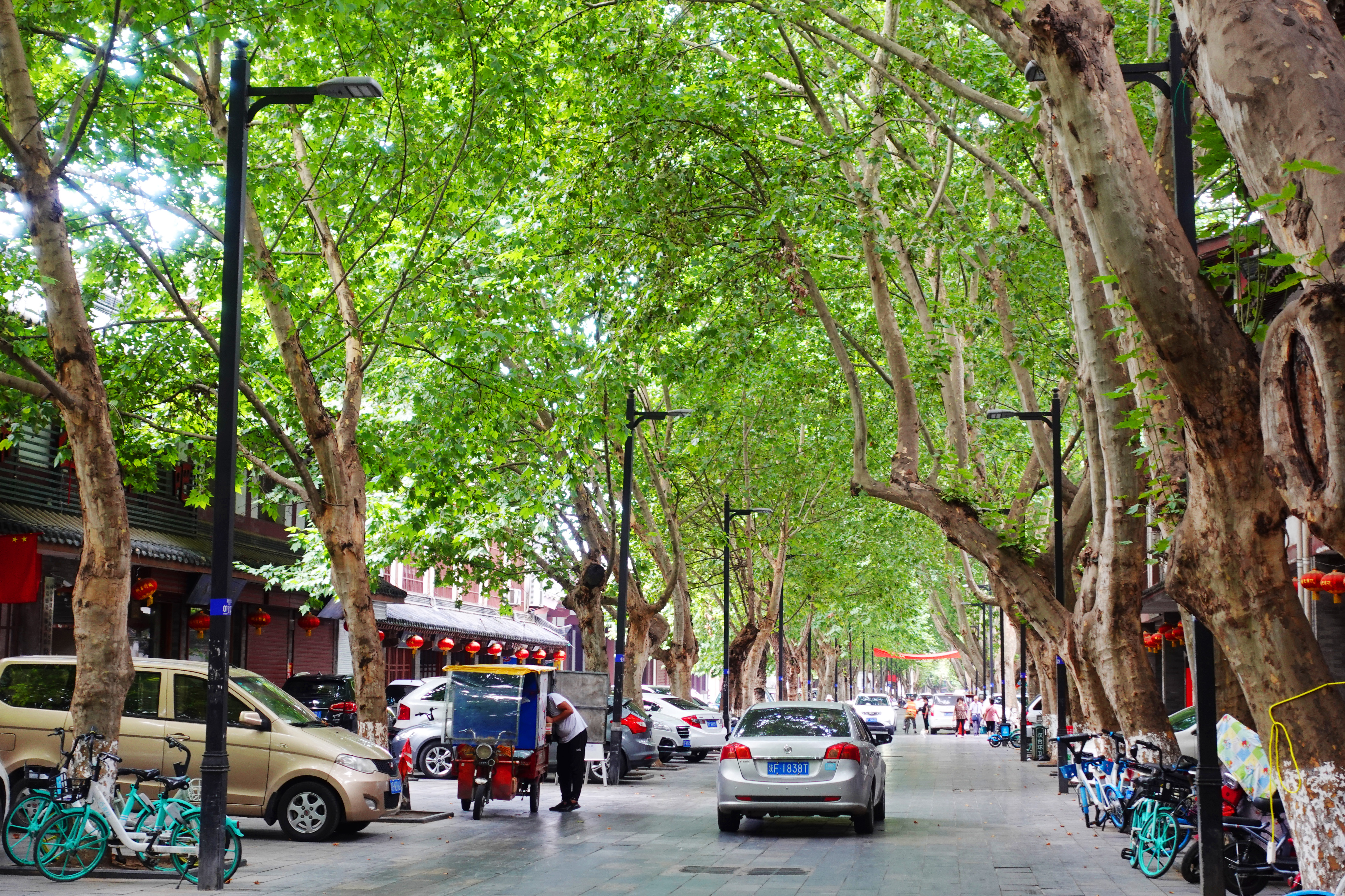 外地人来汉中的印象怎么样,外地人到汉中是什么感觉