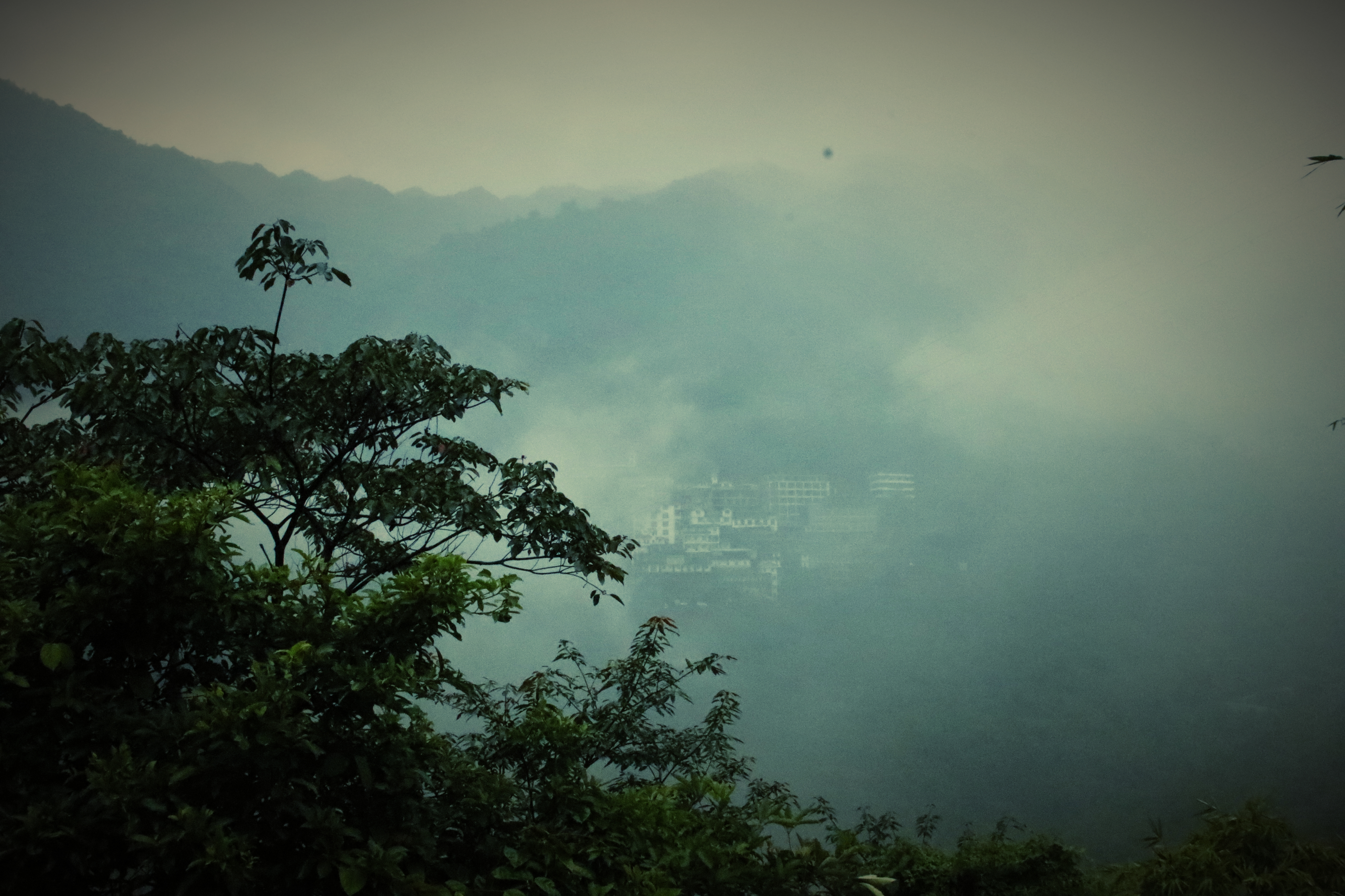 觅源而上溯溪中，寻道而下溪不同———探寻长寿乡上林下水源