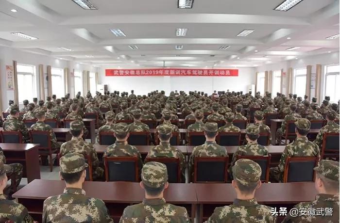 纪实视频,记实记录