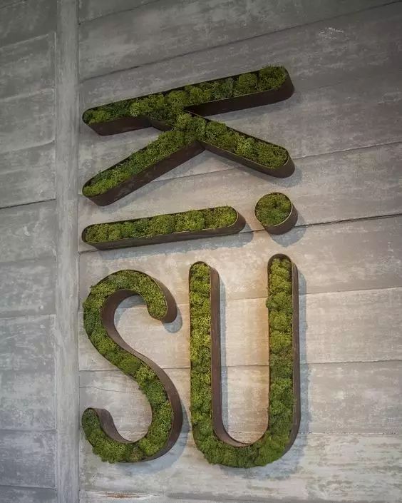 pvc塑料绿植,绿植盆里的塑料