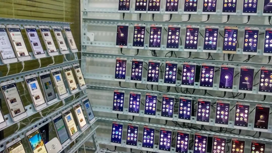 互联网黑灰产,深度揭秘互联网黑灰产