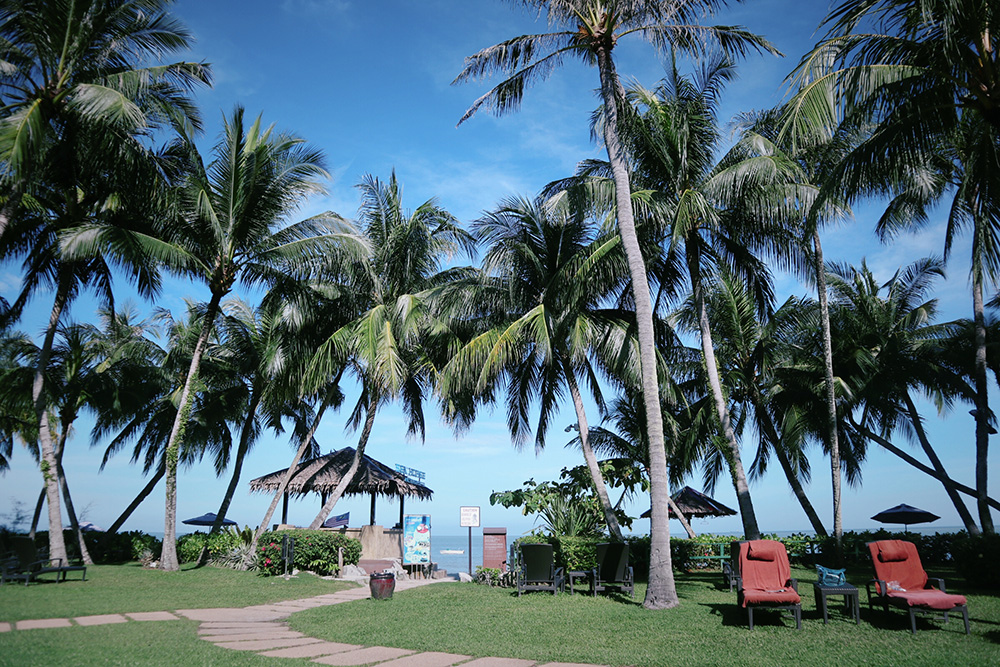 在马来西亚感受集市的乐趣,在马来西亚体验纽西兰