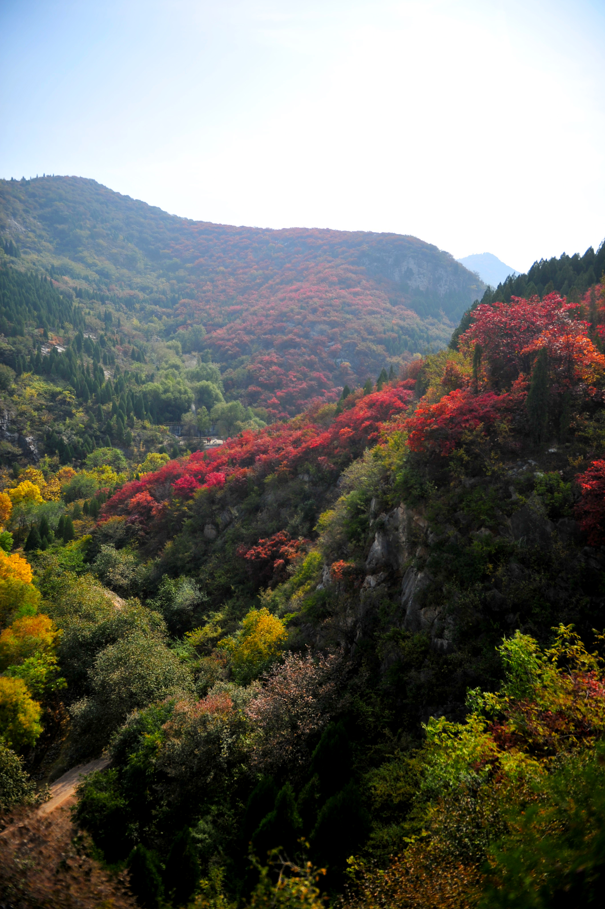 木叶动秋声完整视频,木叶动秋