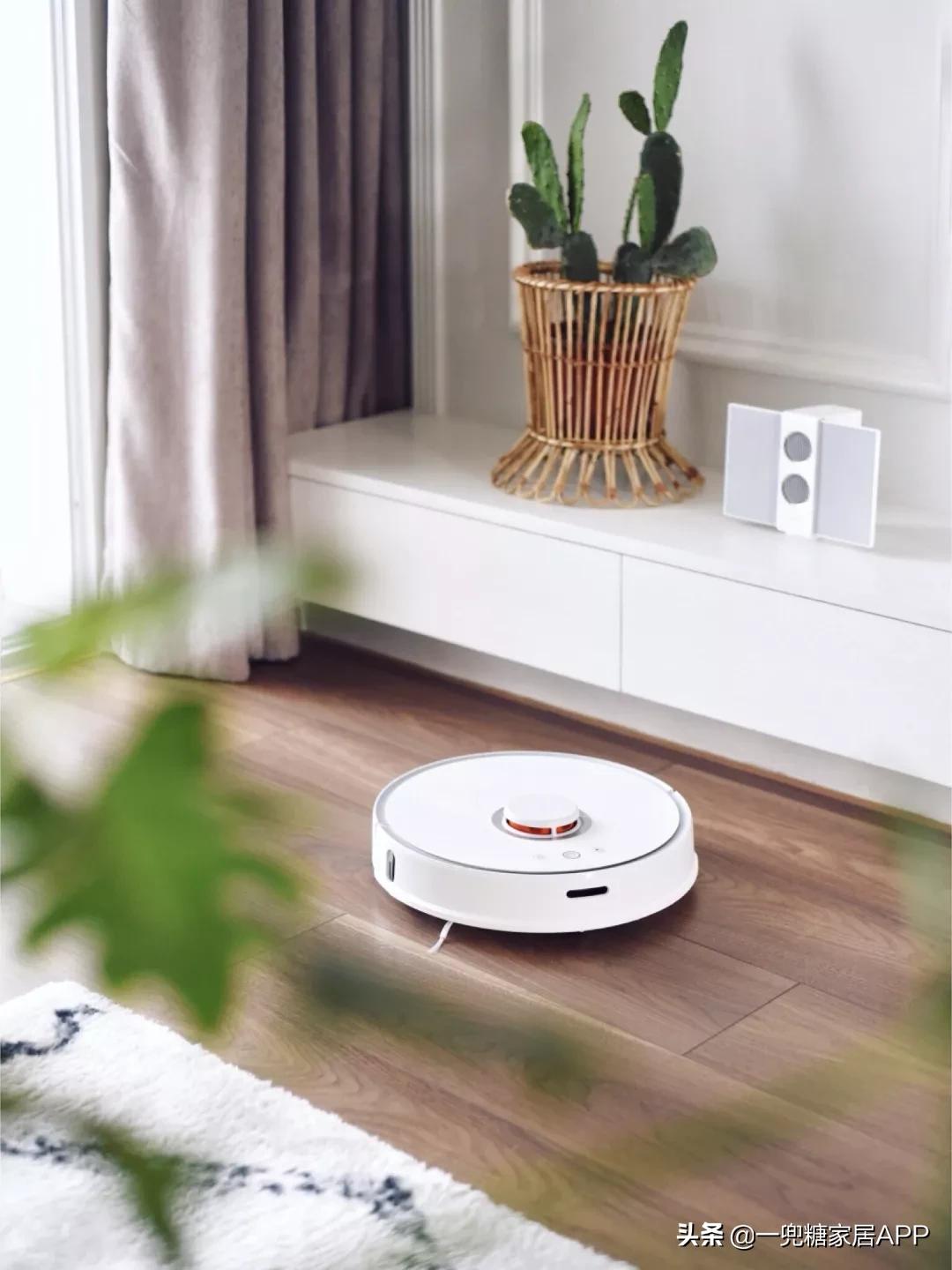 瀹跺眳鏀剁撼濂界墿鎺ㄨ崘鐪侀挶,瀹跺眳鏀剁撼濂界墿鎺ㄨ崘鍓嶅崄