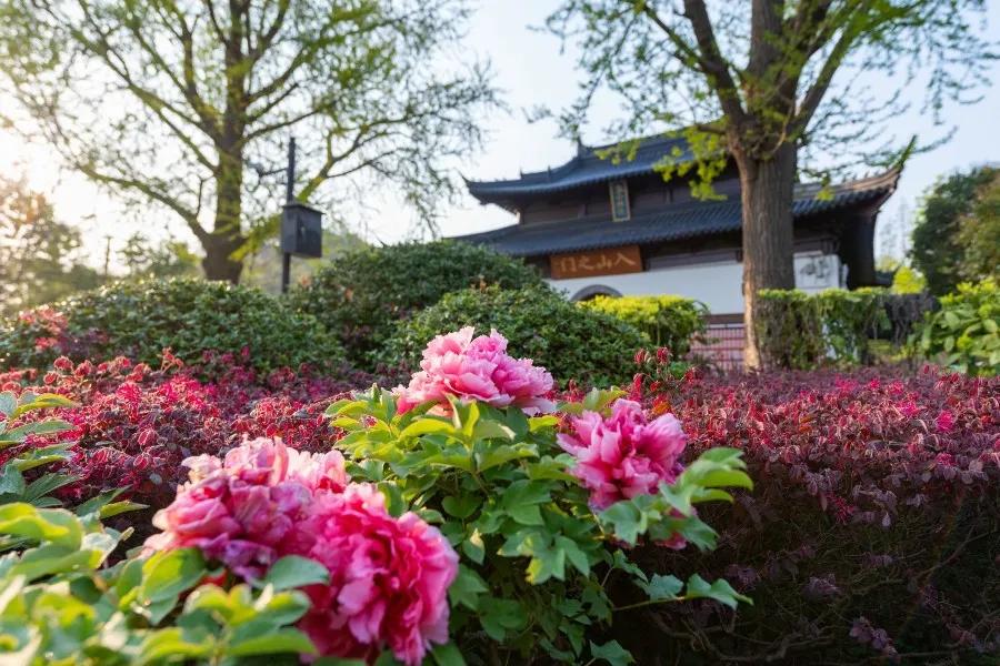 南通已经入春了吗,今年南通什么时候入春