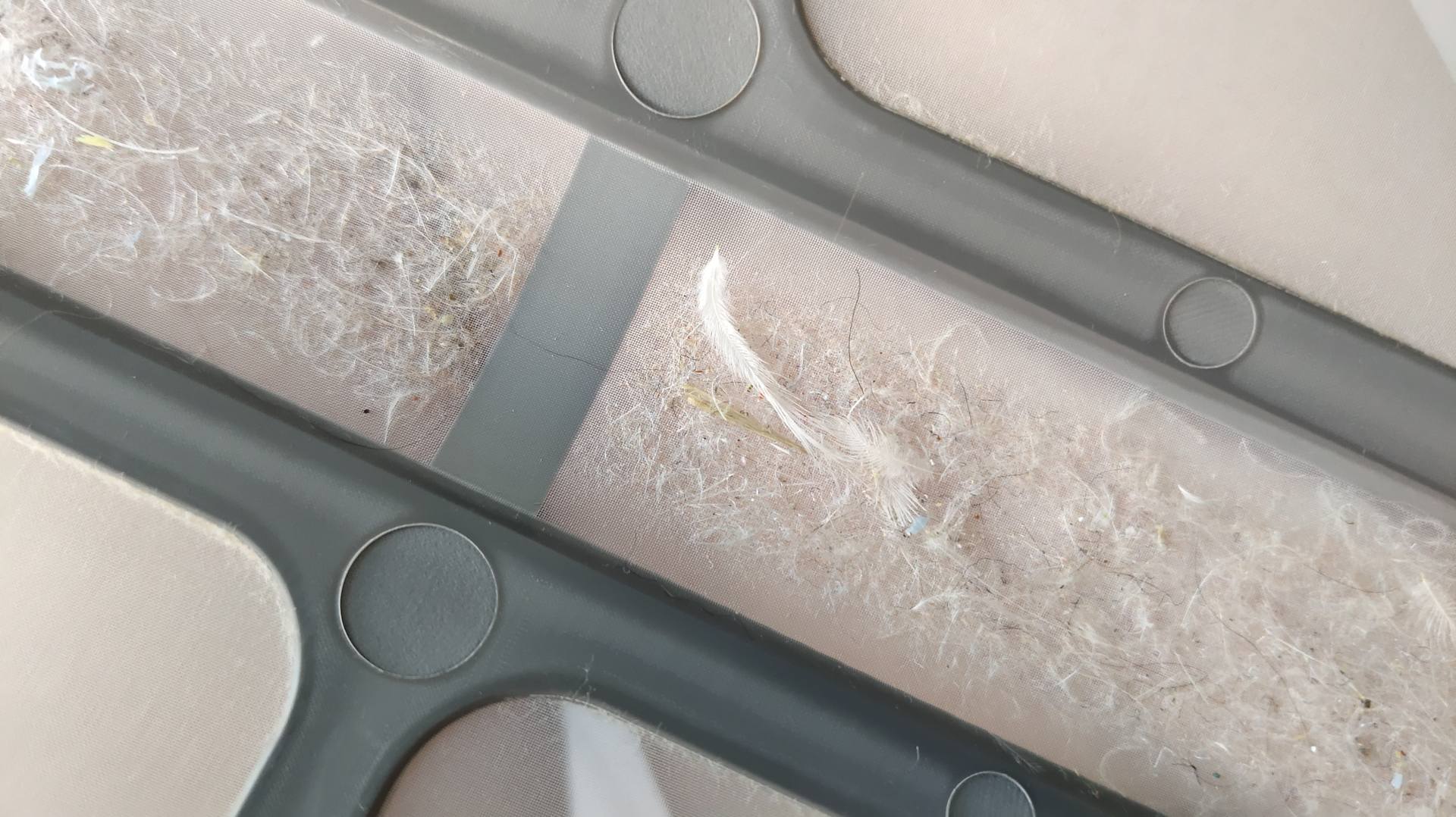 传说中的洗烘套装有那么好吗？春夏秋冬衣物都试过后，有了答案