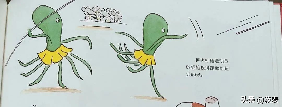 3-6岁运动绘本,儿童运动指南绘本