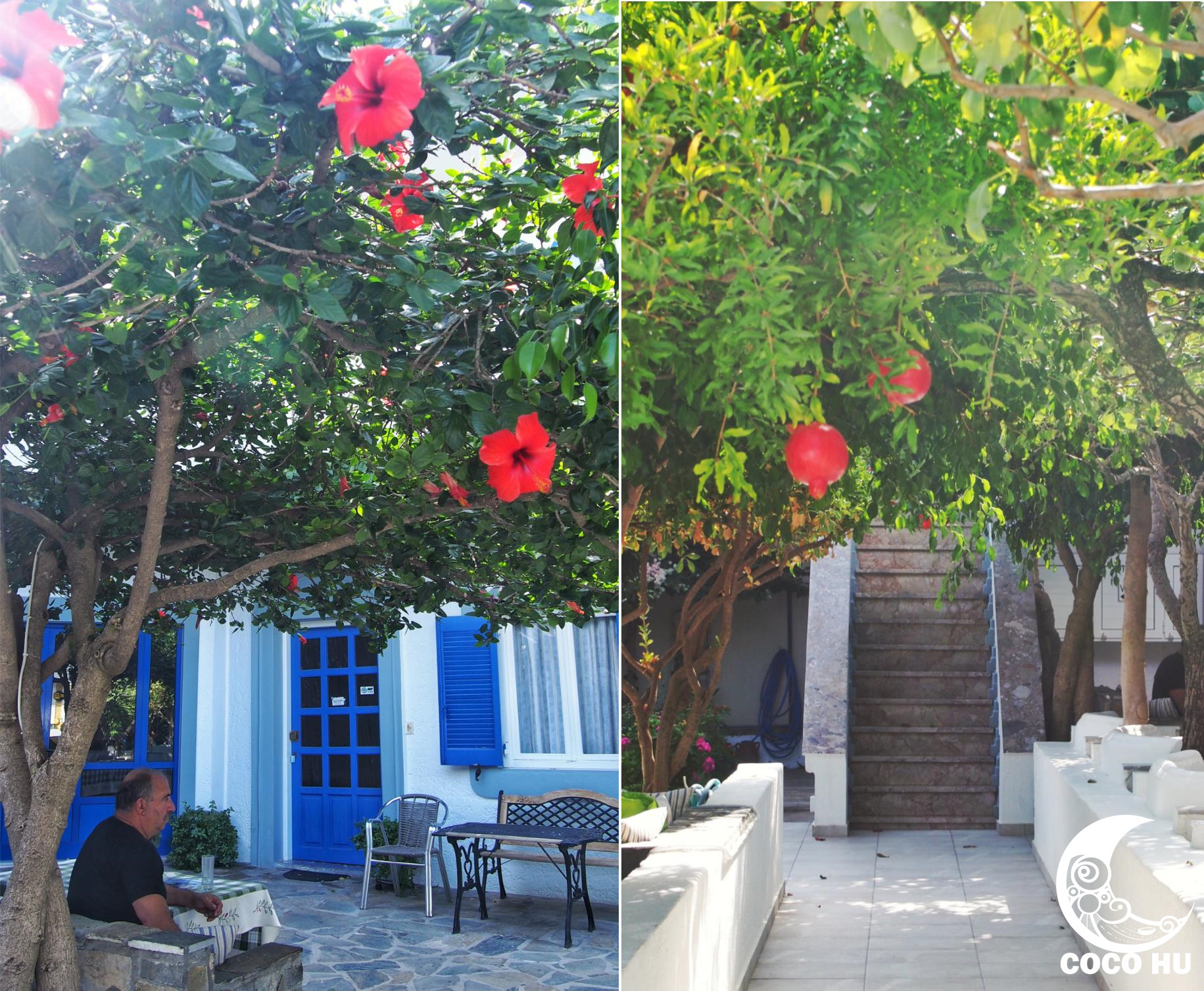 克里特文明与古埃及文明的联系,希腊克里特岛文明