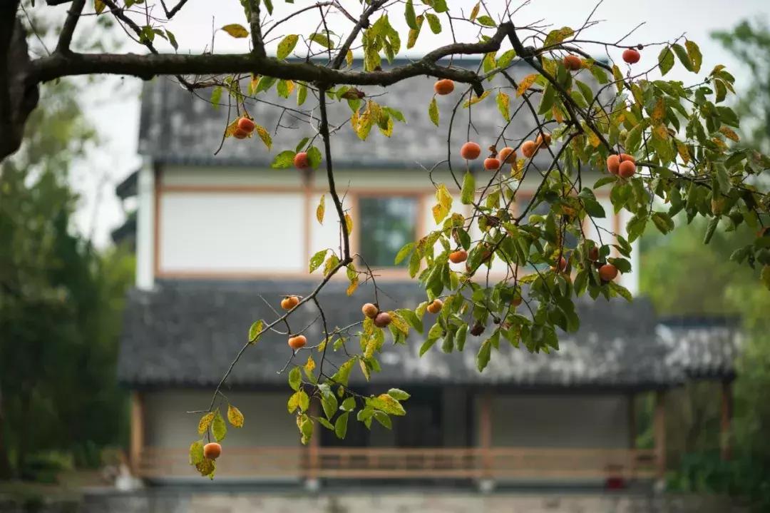 中国最美湿地公园，坐着船入住，皇帝都没机会住的地方你可以！