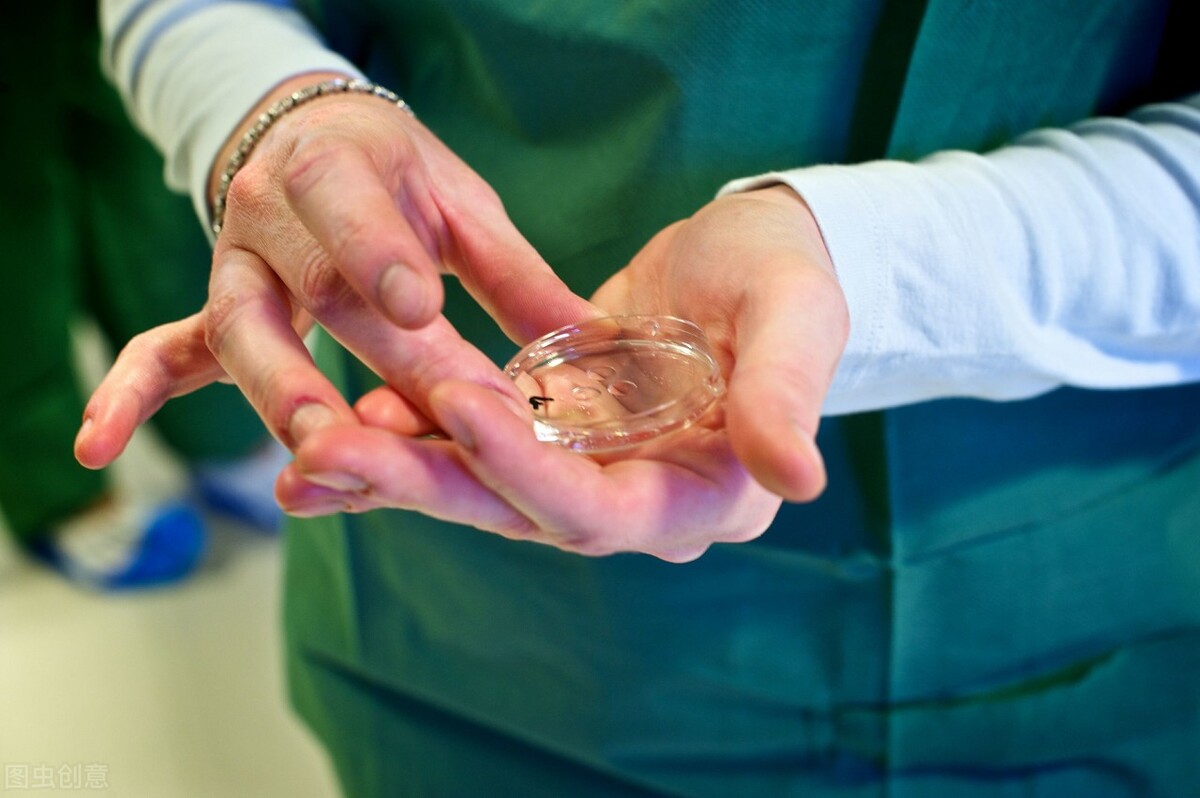 试管婴儿自然周期冻胚移植,试管婴儿冻胚移植自然周期流程