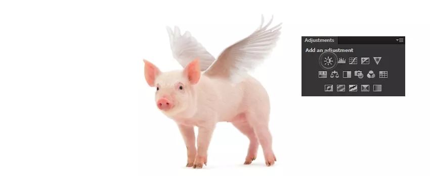 ps花仙子合成教程,ps合成狗狗教程