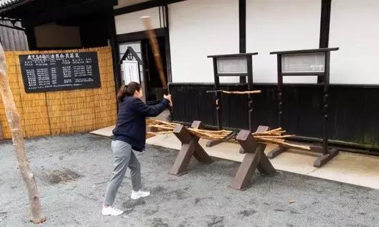 鹿儿岛与熊本,熊本县一日游超全攻略