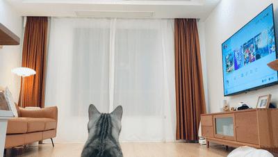 智能窗帘电动窗帘怎么安装,电动窗帘哪个步骤装最好