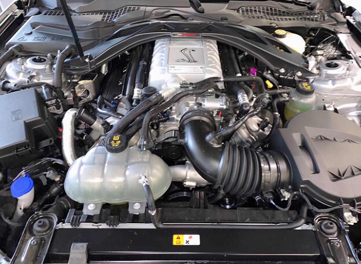 福特野马蝰蛇标志,野马眼镜蛇谢尔比声浪