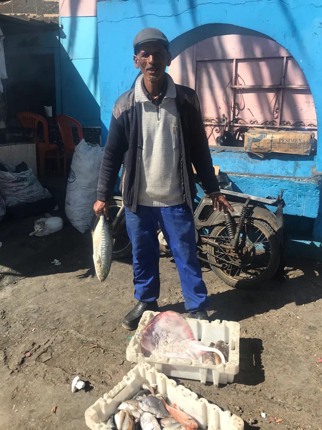 干炸沙丁鱼做法,香煎沙丁鱼做法