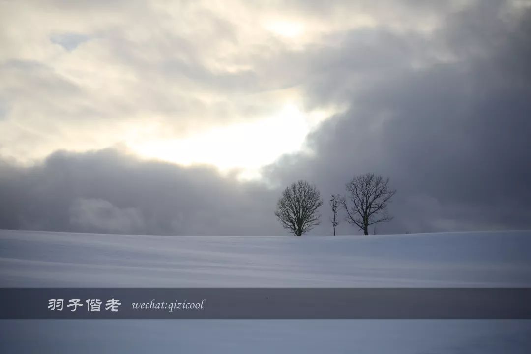 日本10天自由行费用北海道,东京北海道5日自由行攻略