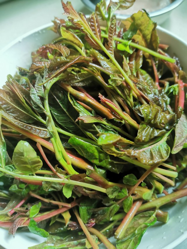 棣欐た鑺界倰楦¤泲鐢ㄧ劘姘村悧,棣欐た鑺界倰楦¤泲鍗囩硸澶氬皯