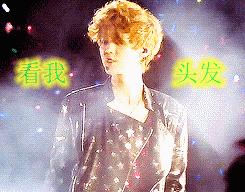 归国四子黄子韬张艺兴,归国四子张艺兴鹿晗黄子韬