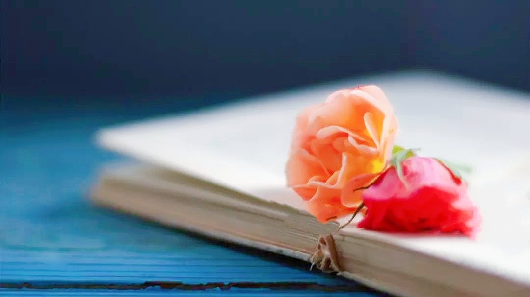 中考英语34题并列句引导词,初中英语易错题or和and的用法