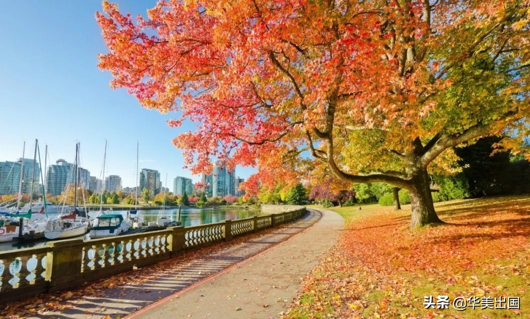 加拿大报税新政 (移民加拿大报税税率)