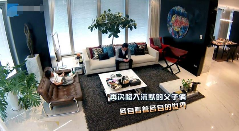 王中磊家装修风格,影视大佬王中磊的现代四合院装修