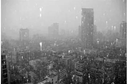 世界环境日我们该怎么做,世界环境日守护环境沃来当先