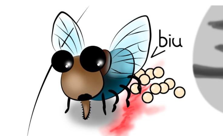 苍蝇灭绝对地球有害吗,苍蝇在世界上的意义