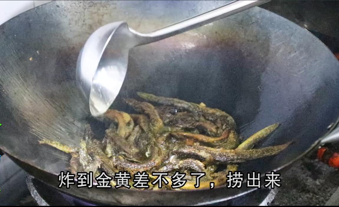 泥鳅最好吃的做法王刚四川,干煸泥鳅的家常做法川菜香辣
