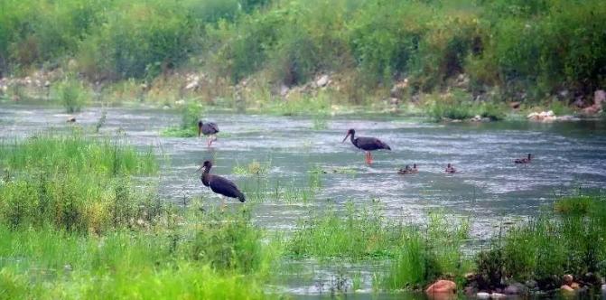 野三坡百里峡景区一日游,野三坡十渡3天旅游攻略