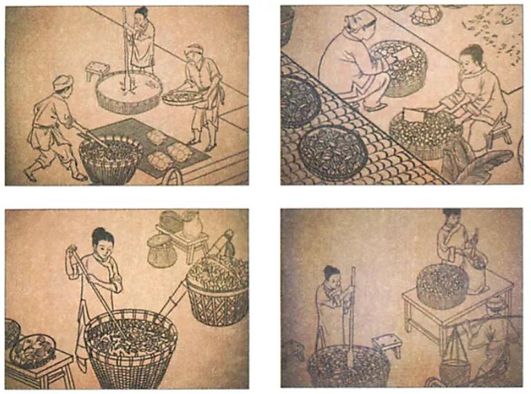 广东人到底有多爱糖水,广西人爱吃糖水