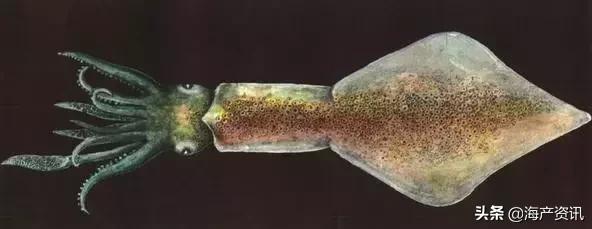 硬核科普全部,硬核科普大全视频