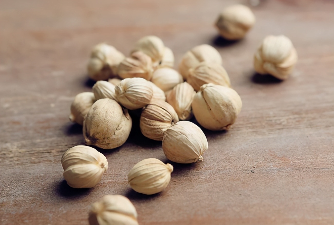 煲狗肉的做法教程,煲狗肉放什么菜最好吃