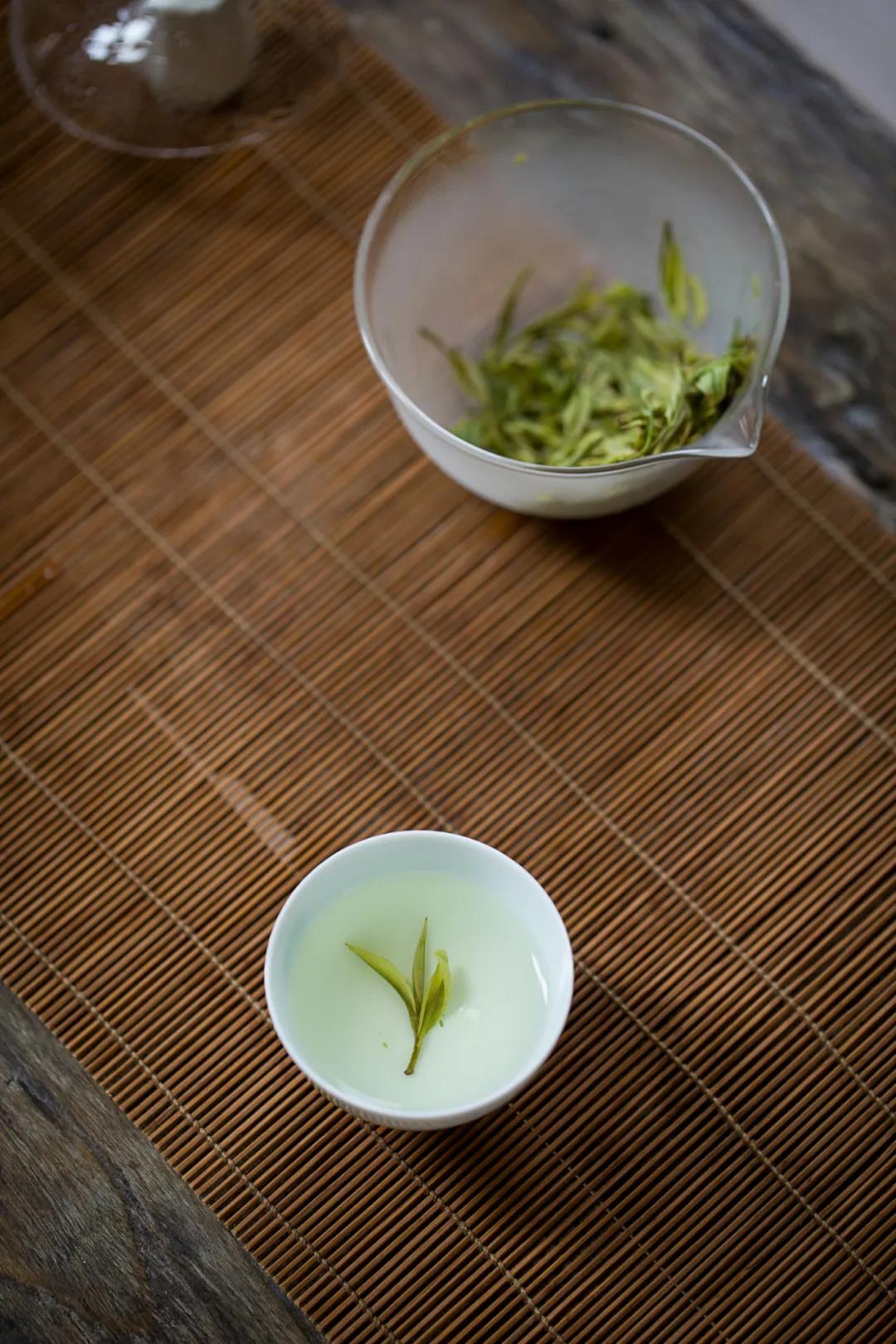 安吉白茶2024新茶高山白茶,2018年安吉明前白茶