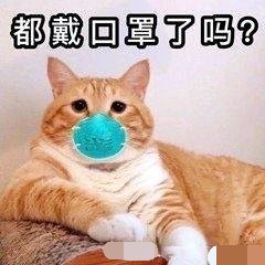 kn90和医用外科口罩哪个好,kn95和n95口罩哪个戴着好看