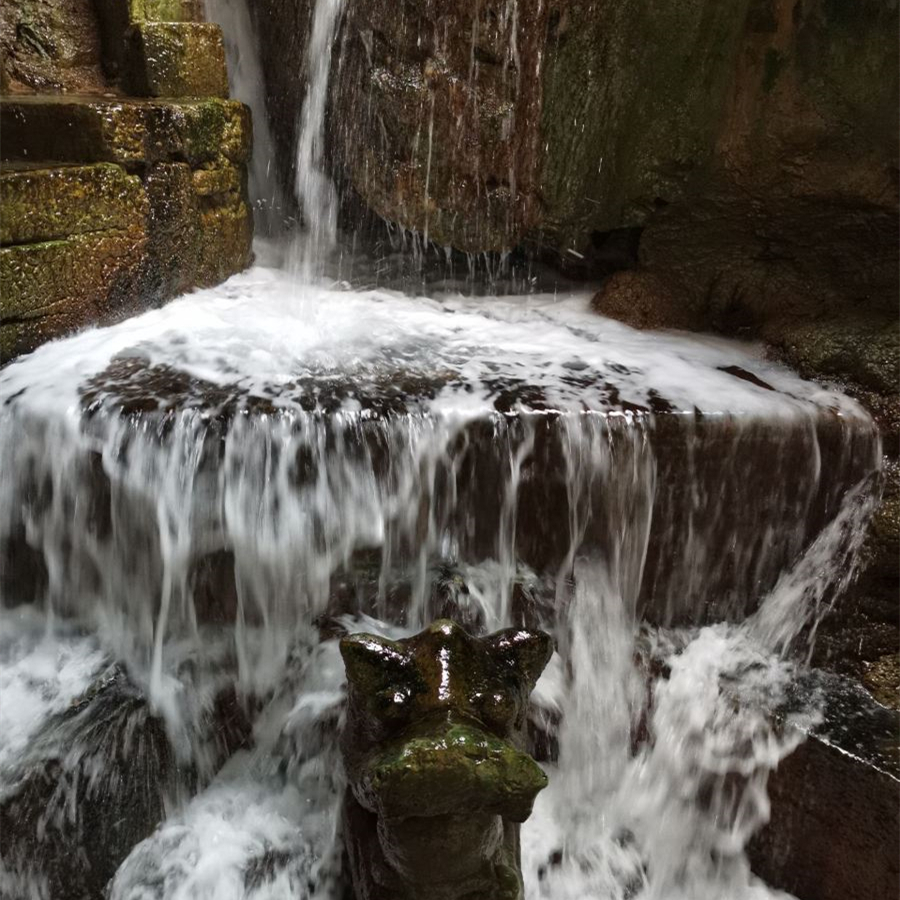 重庆地下鱼泉涌出大量鱼,重庆农户挖出神秘鱼泉在什么地方