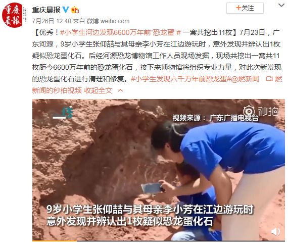 广东河源9岁男孩意外发现，竟成为他将来自豪和骄傲的事儿