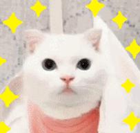 明星都在用的护肤神器,明星都在用的变白神器