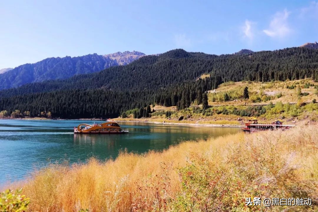 都说新疆好去新疆发展可靠么,都说新疆好地方