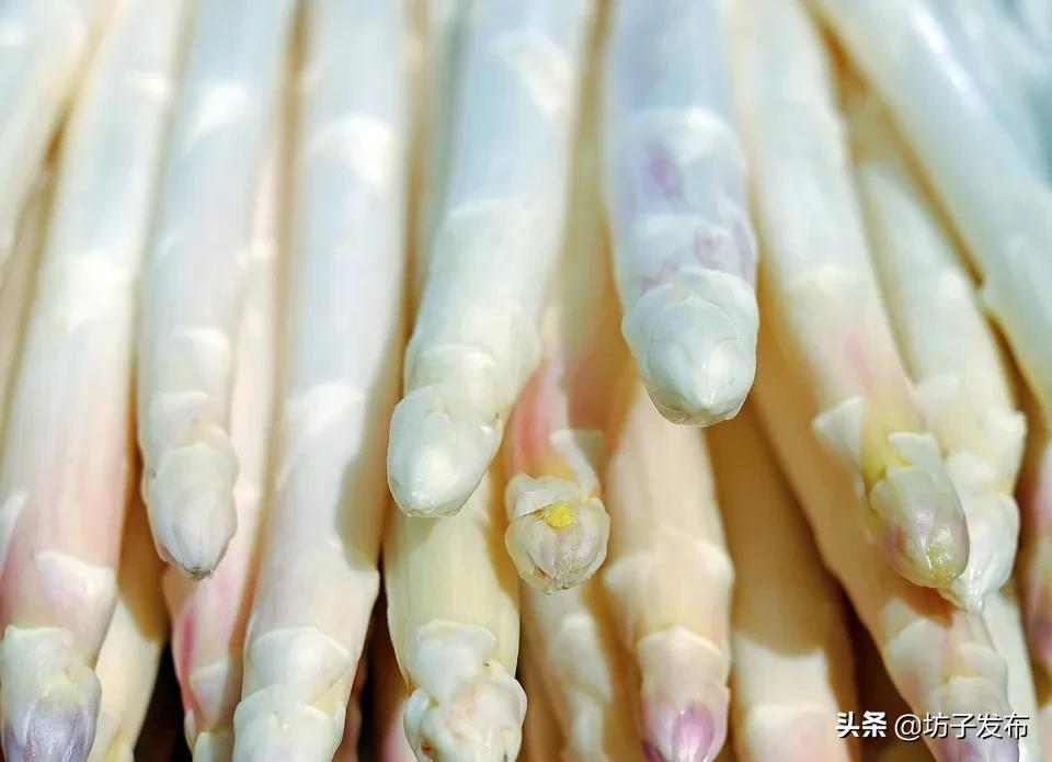 鎴戜滑鏉ュ埌浜嗕腑鍥界殑鑺︾瑡涔嬩埂,鍧婂瓙鑺︾瑡